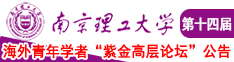 殴美操BB南京理工大学第十四届海外青年学者紫金论坛诚邀海内外英才！